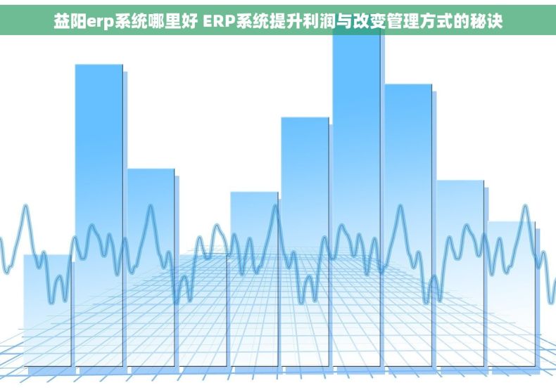 益阳erp系统哪里好 ERP系统提升利润与改变管理方式的秘诀