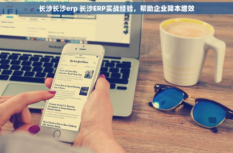 长沙长沙erp 长沙ERP实战经验，帮助企业降本增效