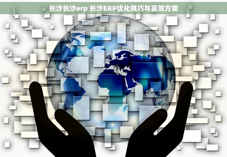 长沙长沙erp 长沙ERP优化技巧与高效方案