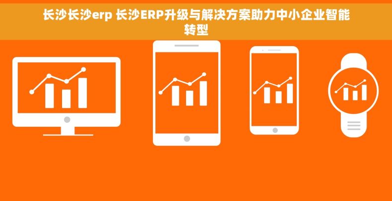 长沙长沙erp 长沙ERP升级与解决方案助力中小企业智能转型