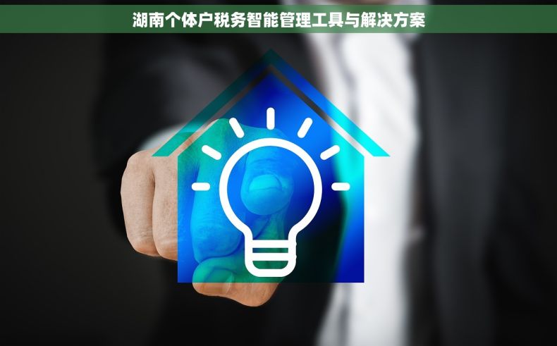 湖南个体户税务智能管理工具与解决方案