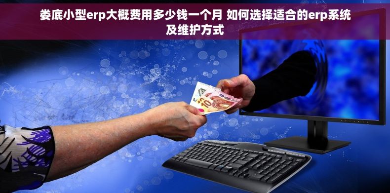娄底小型erp大概费用多少钱一个月 如何选择适合的erp系统及维护方式