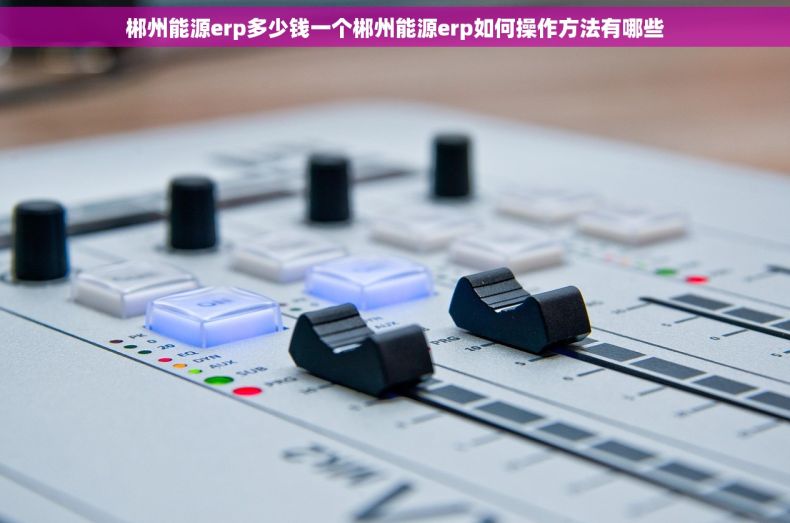 郴州能源erp多少钱一个郴州能源erp如何操作方法有哪些