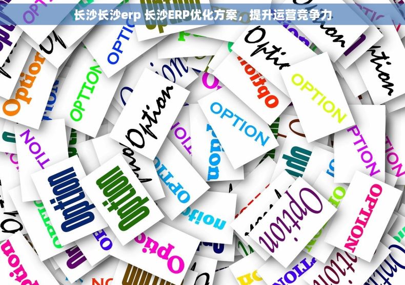 长沙长沙erp 长沙ERP优化方案，提升运营竞争力