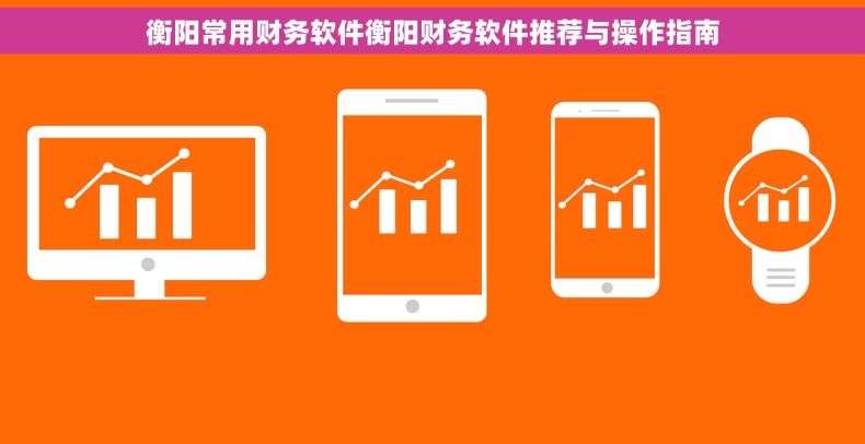 衡阳常用财务软件衡阳财务软件推荐与操作指南