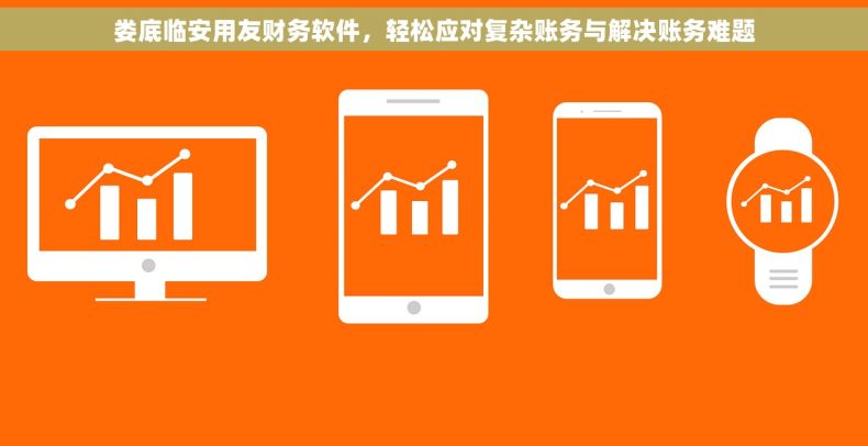 娄底临安用友财务软件，轻松应对复杂账务与解决账务难题
