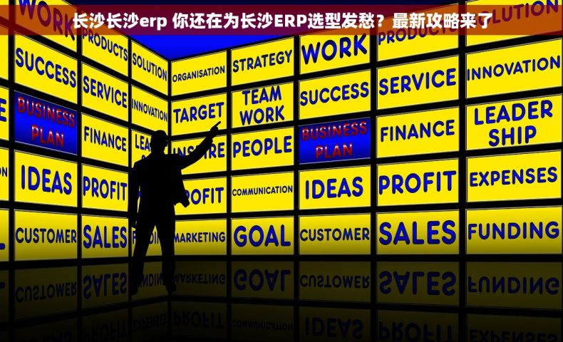 长沙长沙erp 你还在为长沙ERP选型发愁？最新攻略来了