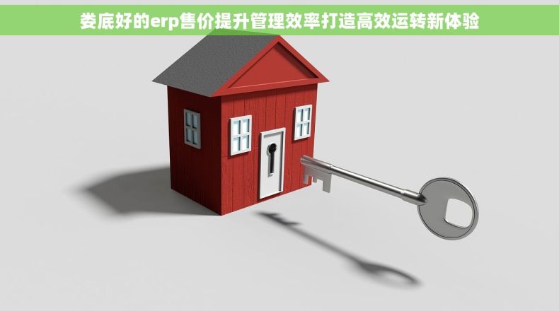 娄底好的erp售价提升管理效率打造高效运转新体验