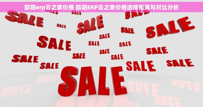邵阳erp云之家价格 邵阳ERP云之家价格选择指南与对比分析