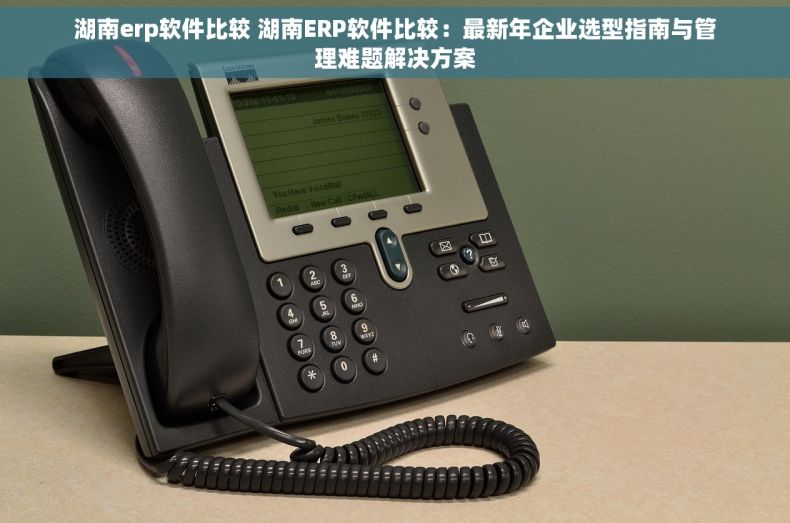 湖南erp软件比较 湖南ERP软件比较：最新年企业选型指南与管理难题解决方案