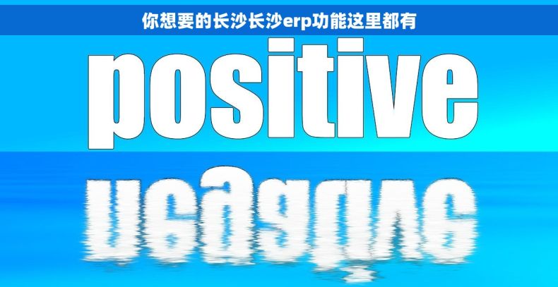 你想要的长沙长沙erp功能这里都有