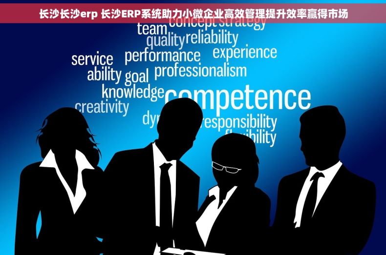 长沙长沙erp 长沙ERP系统助力小微企业高效管理提升效率赢得市场