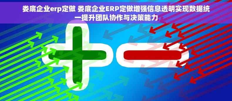 娄底企业erp定做 娄底企业ERP定做增强信息透明实现数据统一提升团队协作与决策能力