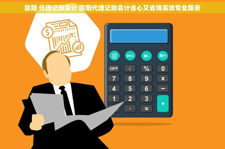 邵阳 代理记账会计 邵阳代理记账会计省心又省钱高效专业服务