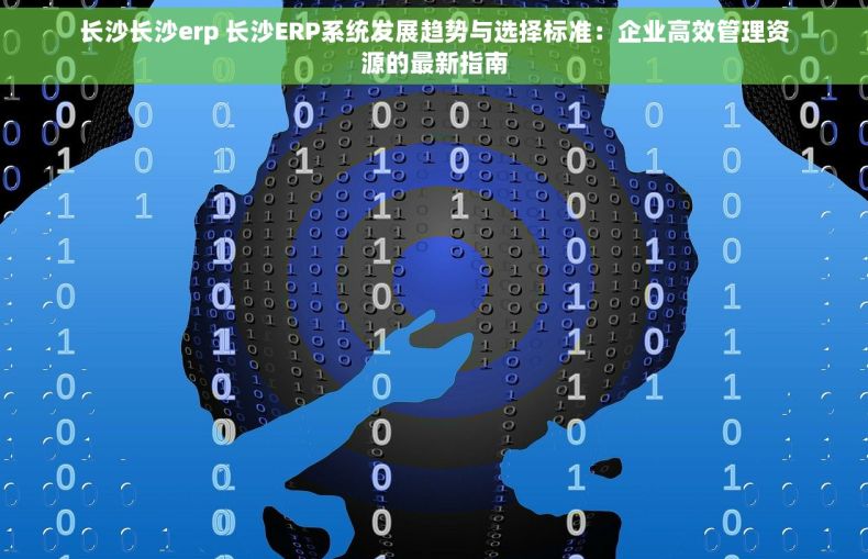 长沙长沙erp 长沙ERP系统发展趋势与选择标准：企业高效管理资源的最新指南