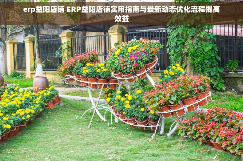 erp益阳店铺 ERP益阳店铺实用指南与最新动态优化流程提高效益