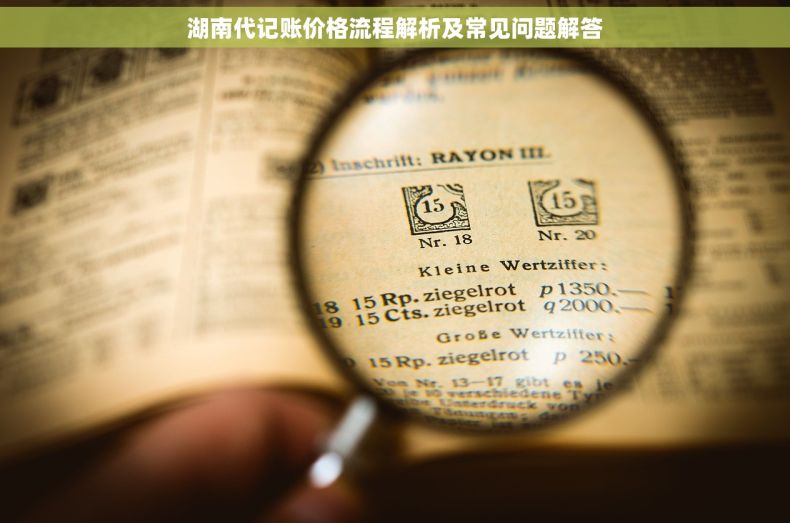 湖南代记账价格流程解析及常见问题解答