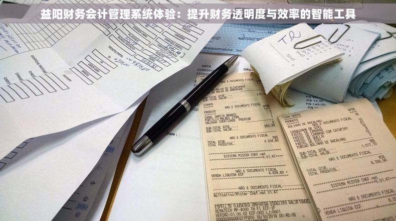 益阳财务会计管理系统体验：提升财务透明度与效率的智能工具