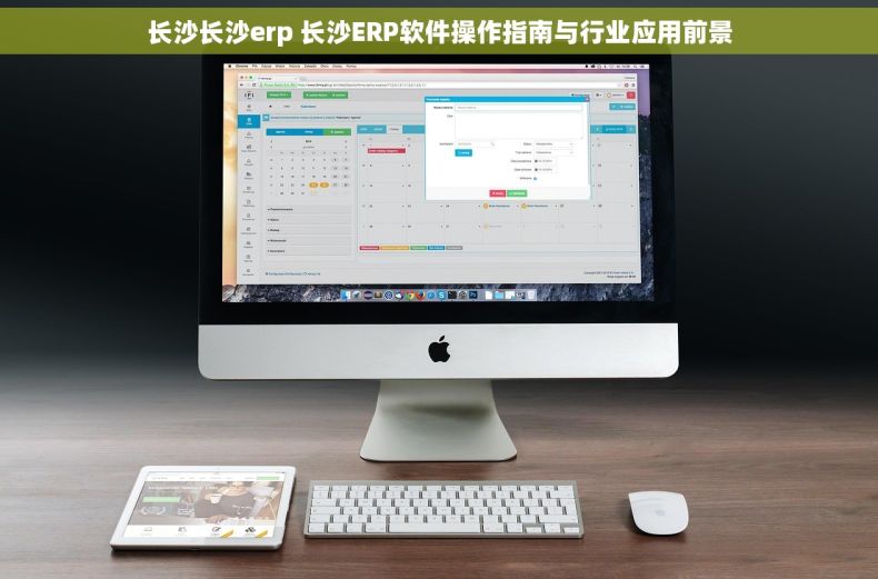 长沙长沙erp 长沙ERP软件操作指南与行业应用前景