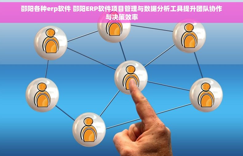 邵阳各种erp软件 邵阳ERP软件项目管理与数据分析工具提升团队协作与决策效率