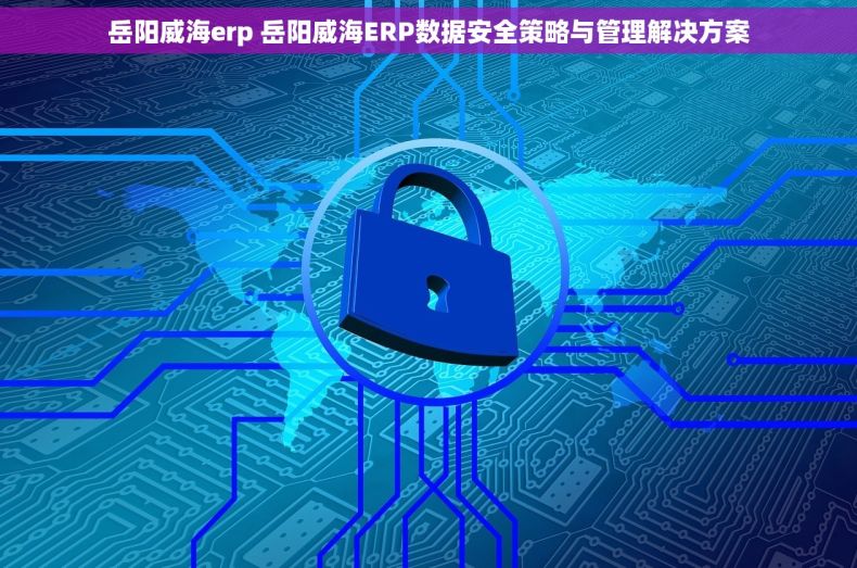 岳阳威海erp 岳阳威海ERP数据安全策略与管理解决方案