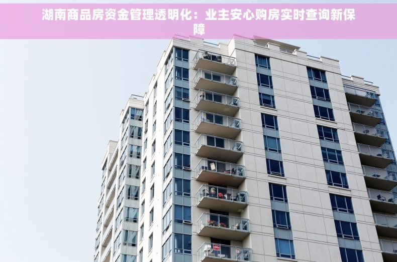 湖南商品房资金管理透明化：业主安心购房实时查询新保障