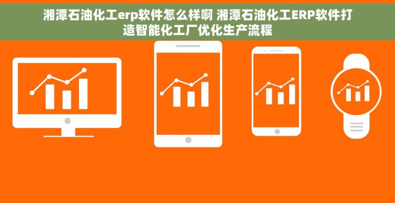 湘潭石油化工erp软件怎么样啊 湘潭石油化工ERP软件打造智能化工厂优化生产流程