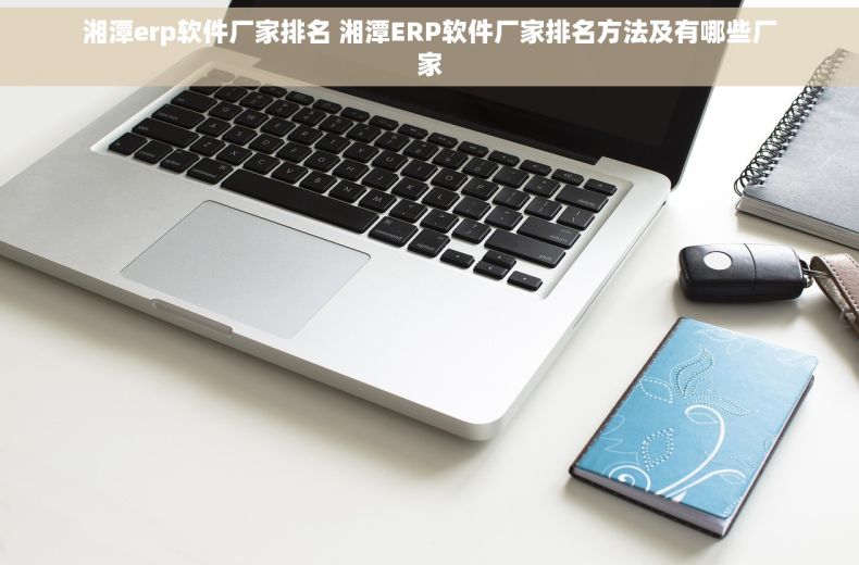 湘潭erp软件厂家排名 湘潭ERP软件厂家排名方法及有哪些厂家