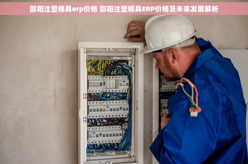 邵阳注塑模具erp价格 邵阳注塑模具ERP价格及未来发展解析