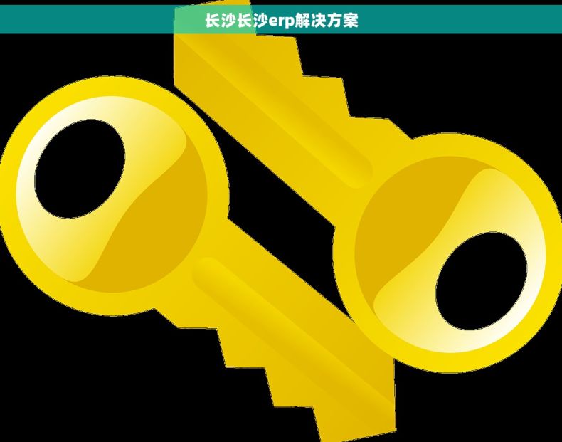 长沙长沙erp解决方案