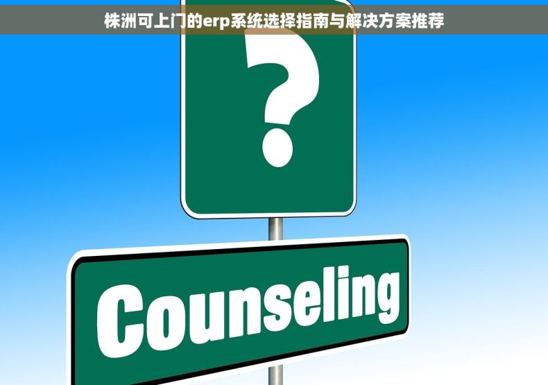 株洲可上门的erp系统选择指南与解决方案推荐