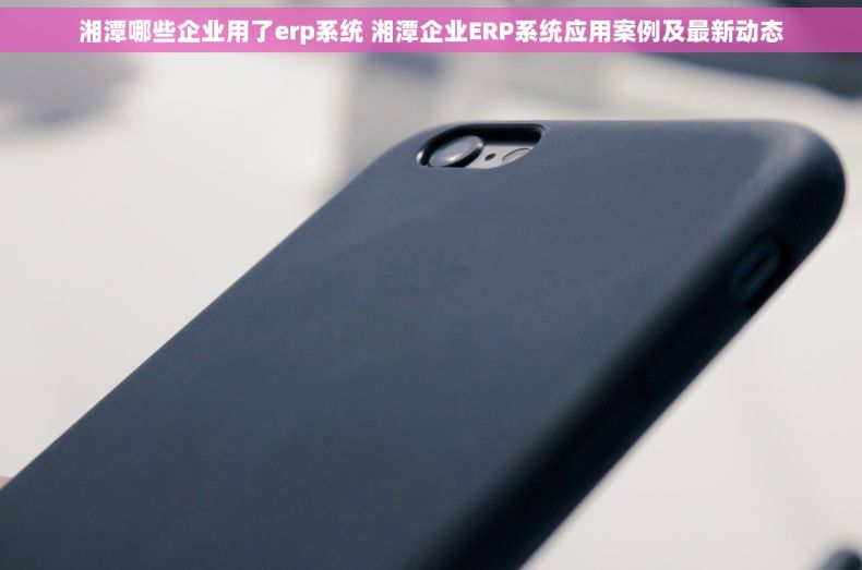 湘潭哪些企业用了erp系统 湘潭企业ERP系统应用案例及最新动态
