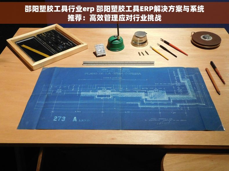 邵阳塑胶工具行业erp 邵阳塑胶工具ERP解决方案与系统推荐：高效管理应对行业挑战