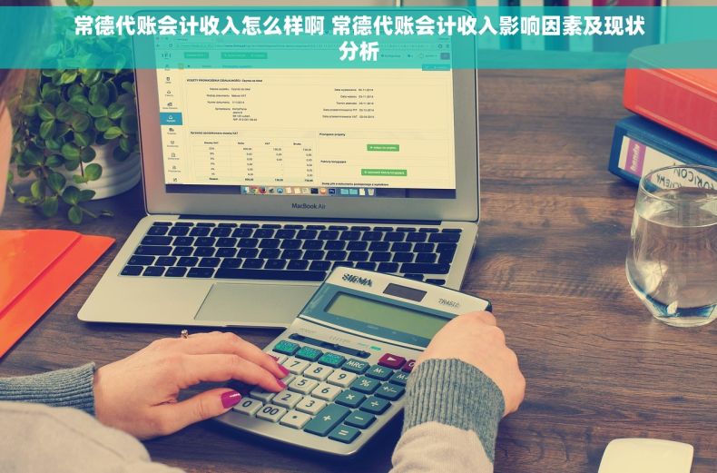 常德代账会计收入怎么样啊 常德代账会计收入影响因素及现状分析