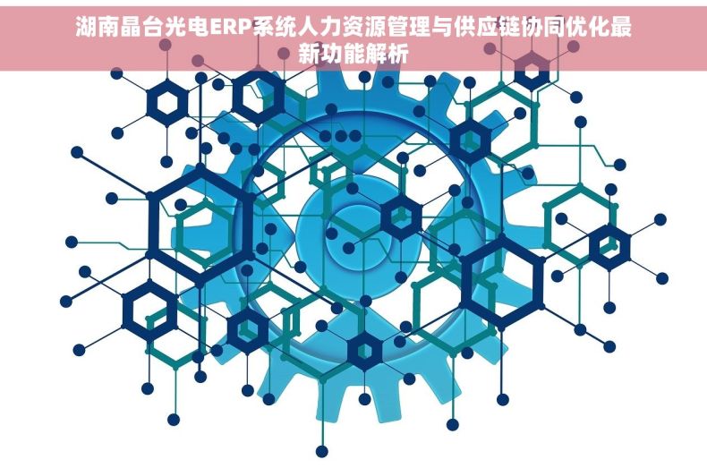 湖南晶台光电ERP系统人力资源管理与供应链协同优化最新功能解析