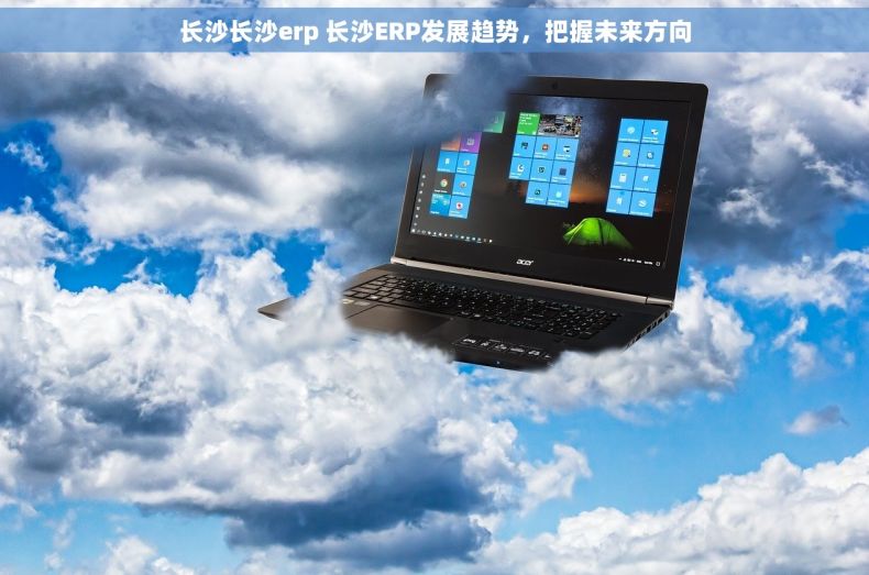 长沙长沙erp 长沙ERP发展趋势，把握未来方向