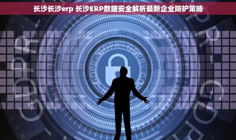 长沙长沙erp 长沙ERP数据安全解析最新企业防护策略