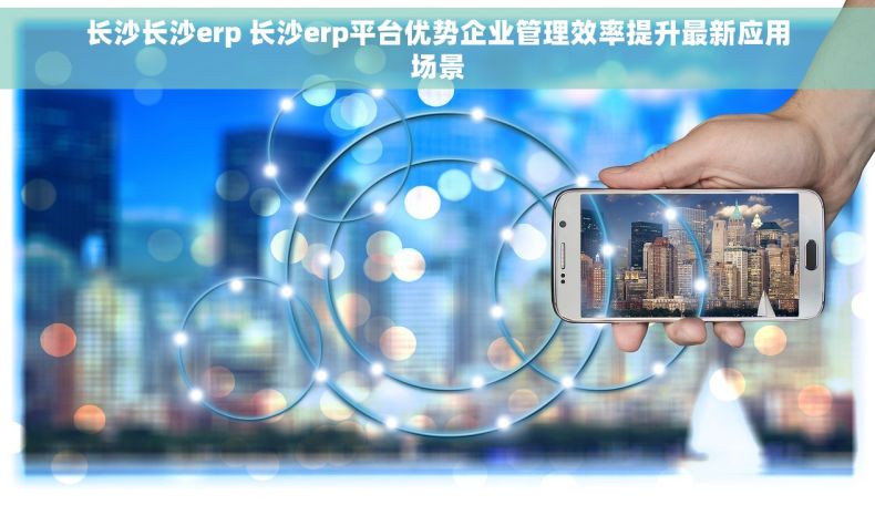 长沙长沙erp 长沙erp平台优势企业管理效率提升最新应用场景