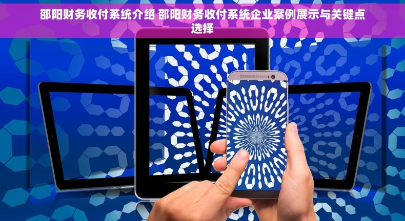 邵阳财务收付系统介绍 邵阳财务收付系统企业案例展示与关键点选择