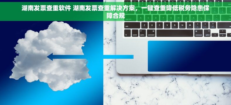 湖南发票查重软件 湖南发票查重解决方案，一键查重降低税务隐患保障合规