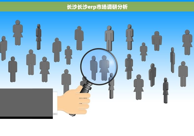 长沙长沙erp市场调研分析