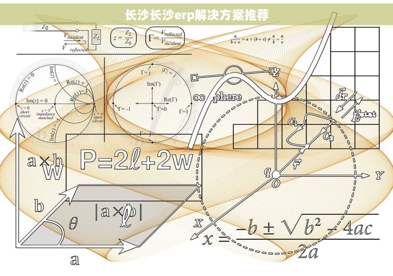 长沙长沙erp解决方案推荐