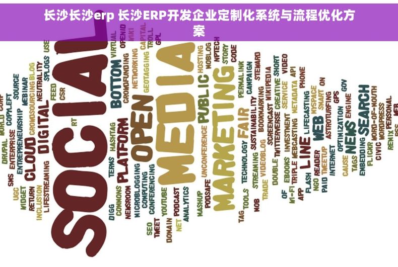 长沙长沙erp 长沙ERP开发企业定制化系统与流程优化方案