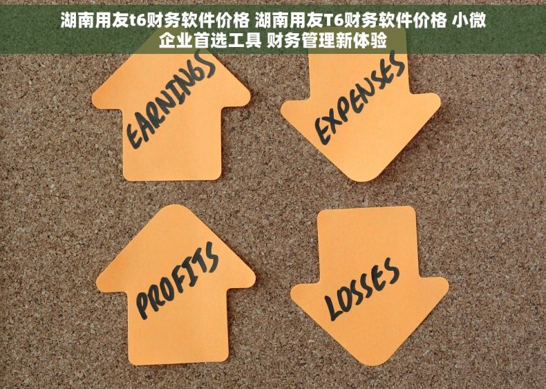 湖南用友t6财务软件价格 湖南用友T6财务软件价格 小微企业首选工具 财务管理新体验