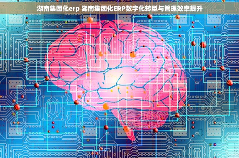 湖南集团化erp 湖南集团化ERP数字化转型与管理效率提升