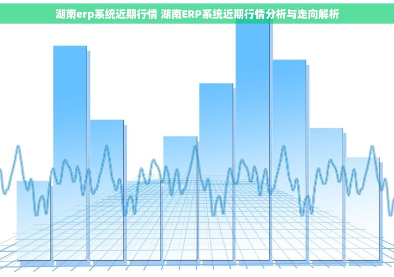 湖南erp系统近期行情 湖南ERP系统近期行情分析与走向解析