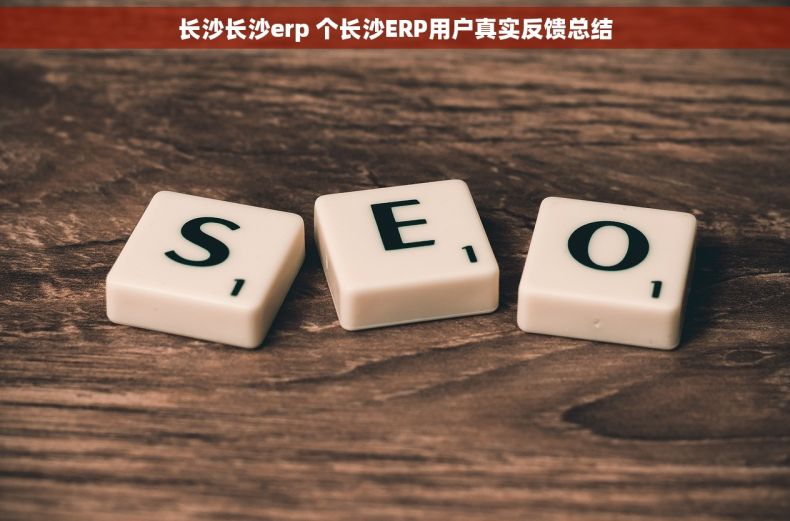 长沙长沙erp 个长沙ERP用户真实反馈总结