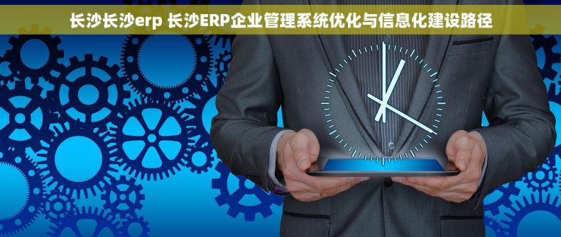 长沙长沙erp 长沙ERP企业管理系统优化与信息化建设路径