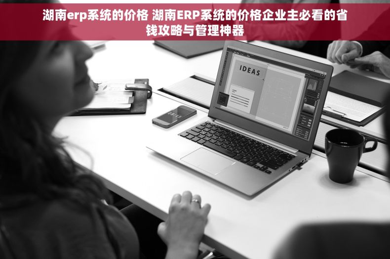 湖南erp系统的价格 湖南ERP系统的价格企业主必看的省钱攻略与管理神器
