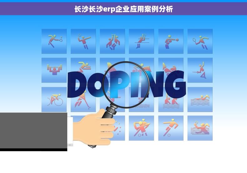 长沙长沙erp企业应用案例分析
